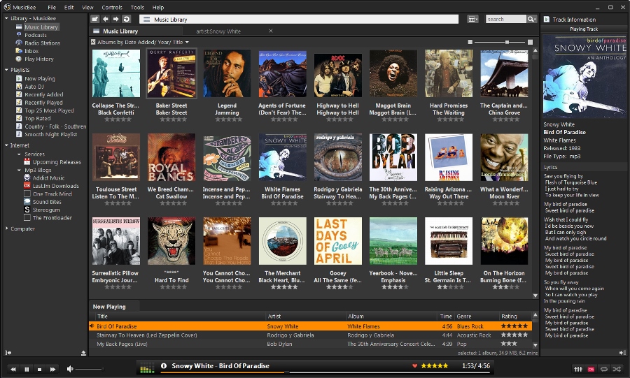 the best music library organizer for mac